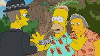 The Simpsons